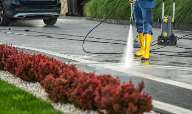 Best Fence Cleaning  in Arlington, VA